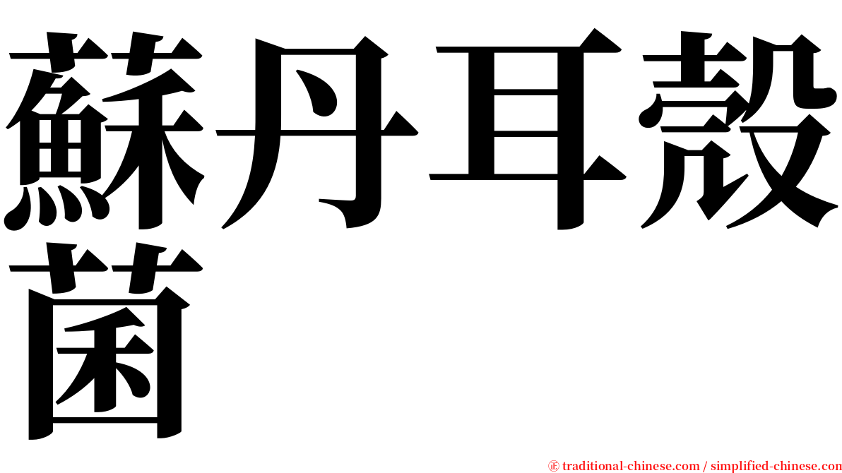 蘇丹耳殼菌 serif font