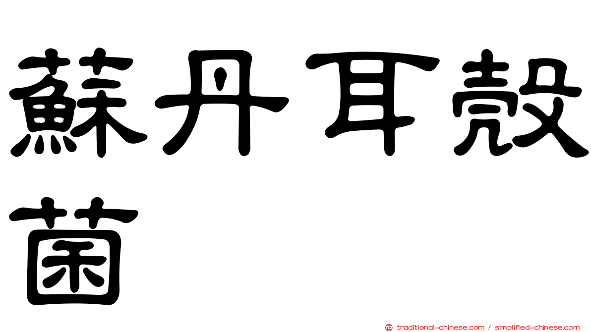 蘇丹耳殼菌
