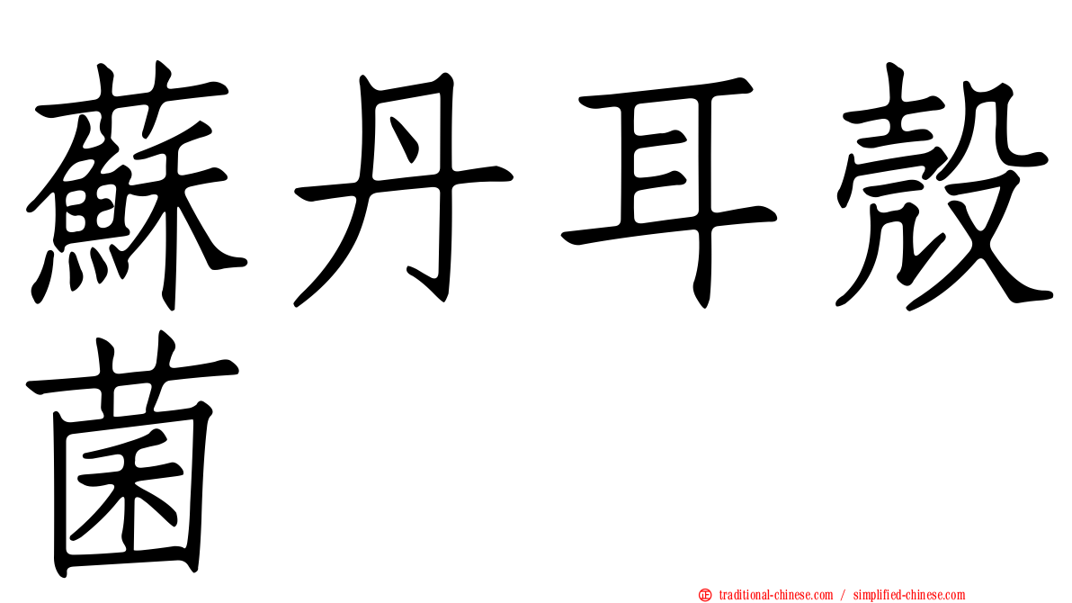 蘇丹耳殼菌