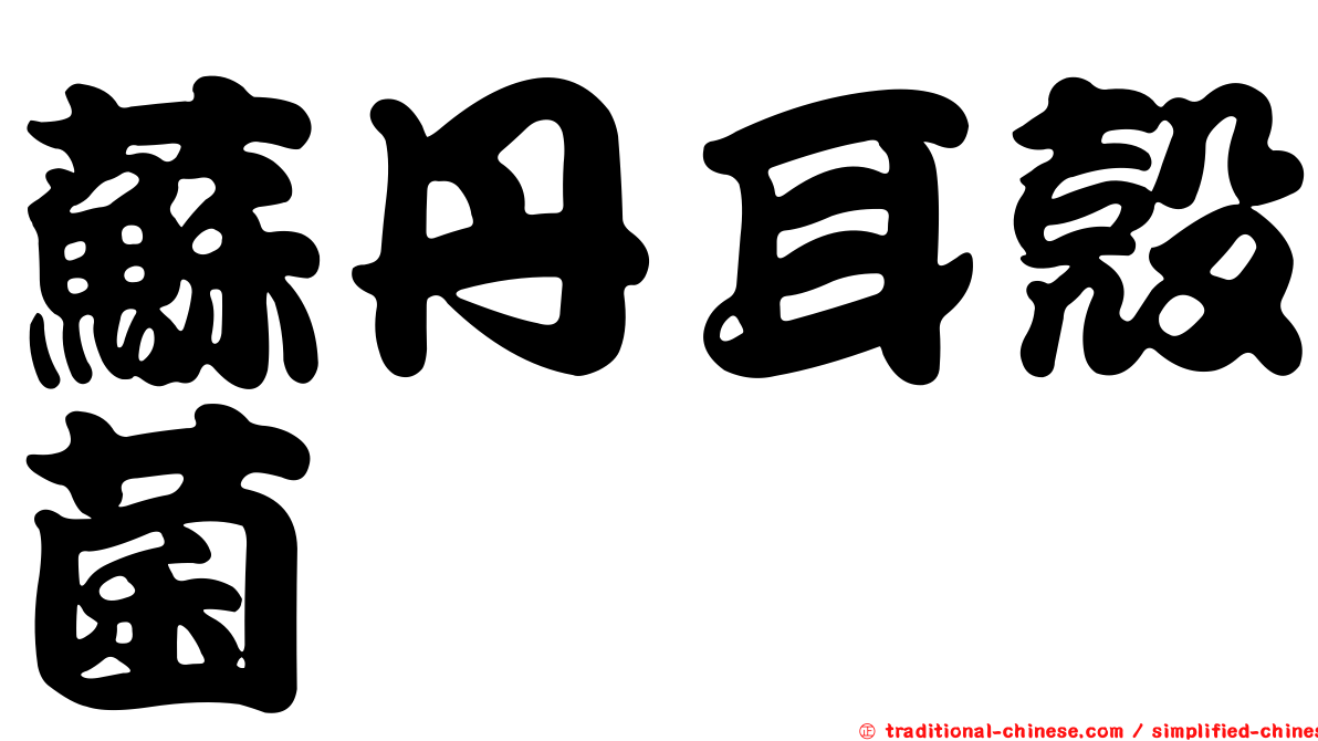 蘇丹耳殼菌