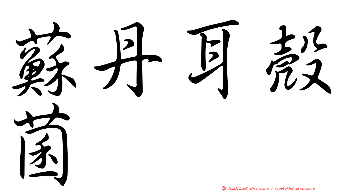 蘇丹耳殼菌