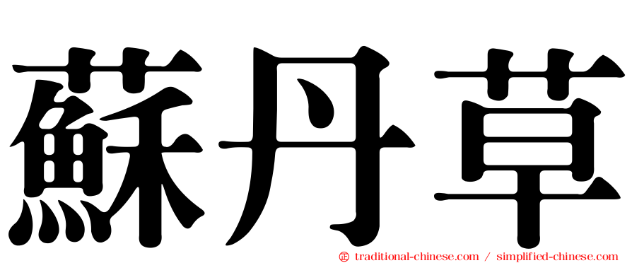 蘇丹草