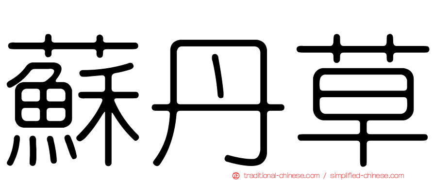 蘇丹草