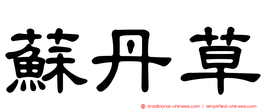 蘇丹草
