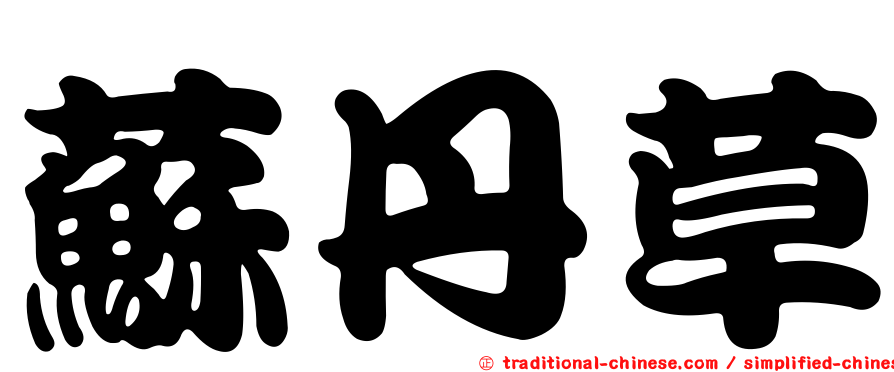 蘇丹草