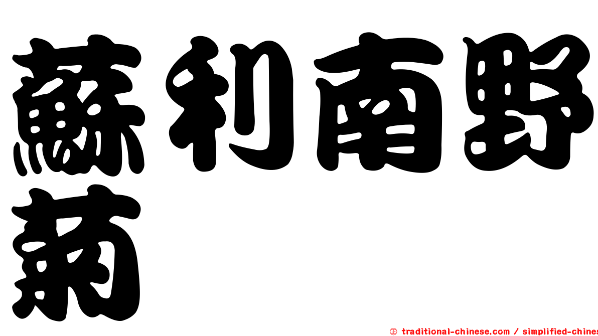 蘇利南野菊