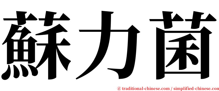 蘇力菌 serif font