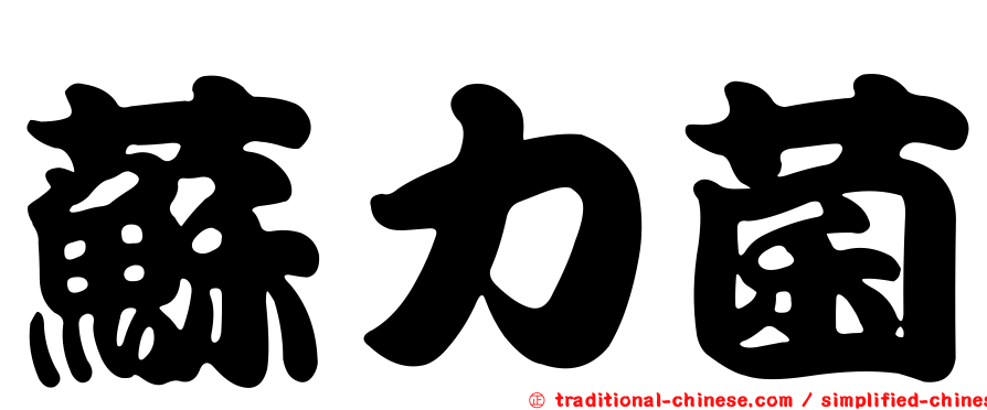 蘇力菌