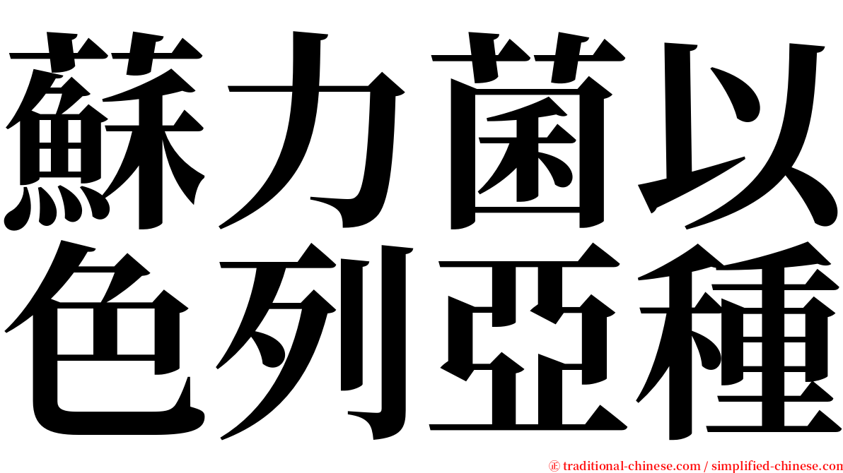 蘇力菌以色列亞種 serif font