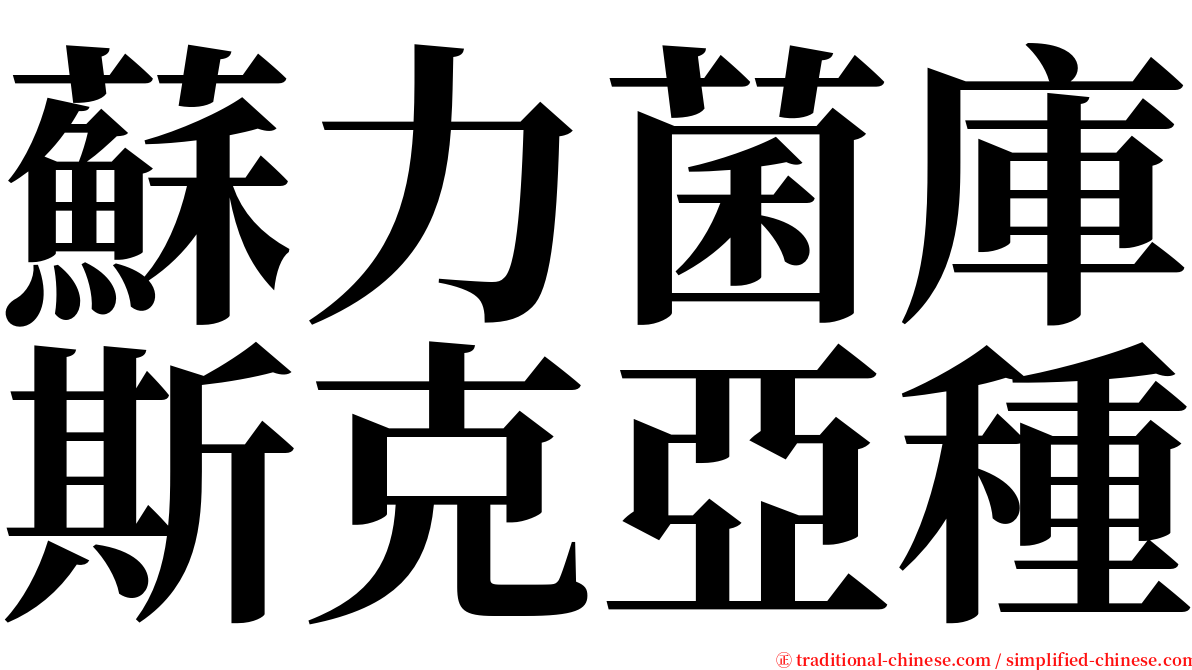 蘇力菌庫斯克亞種 serif font