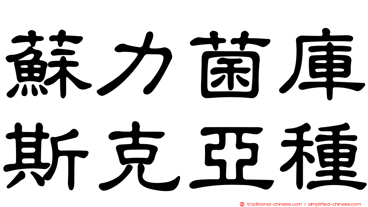 蘇力菌庫斯克亞種