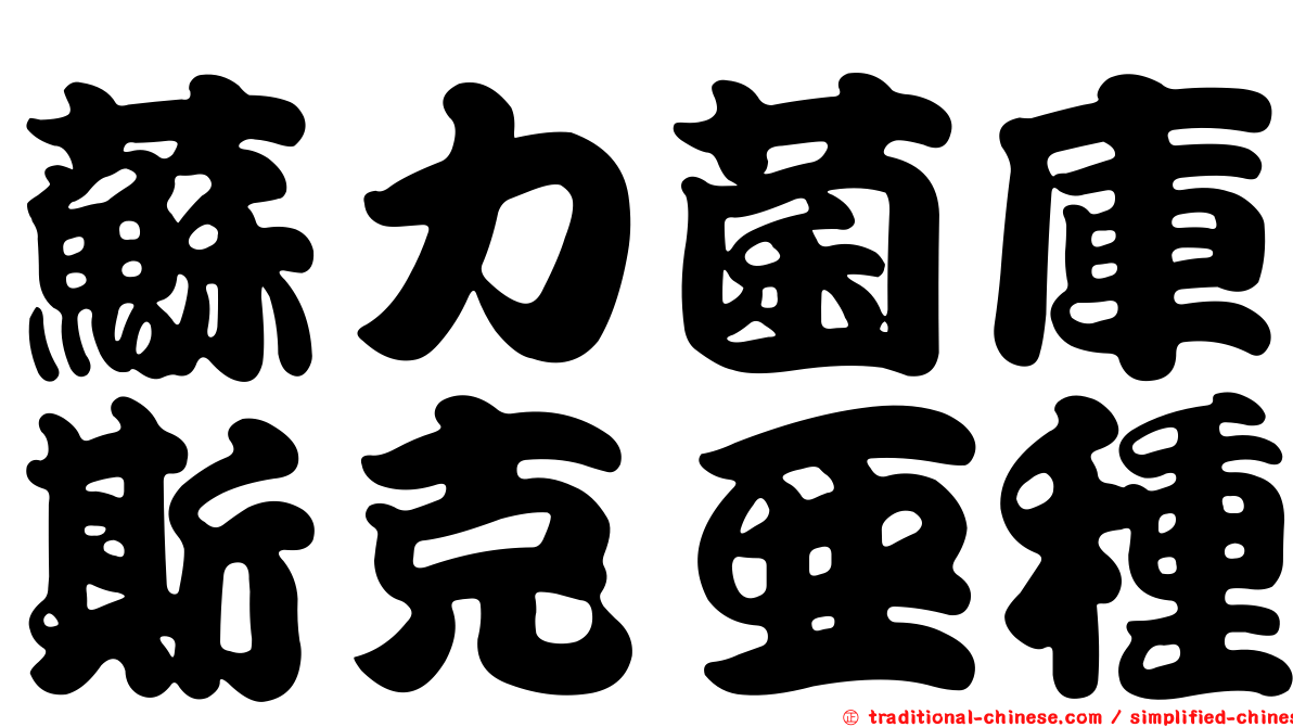 蘇力菌庫斯克亞種