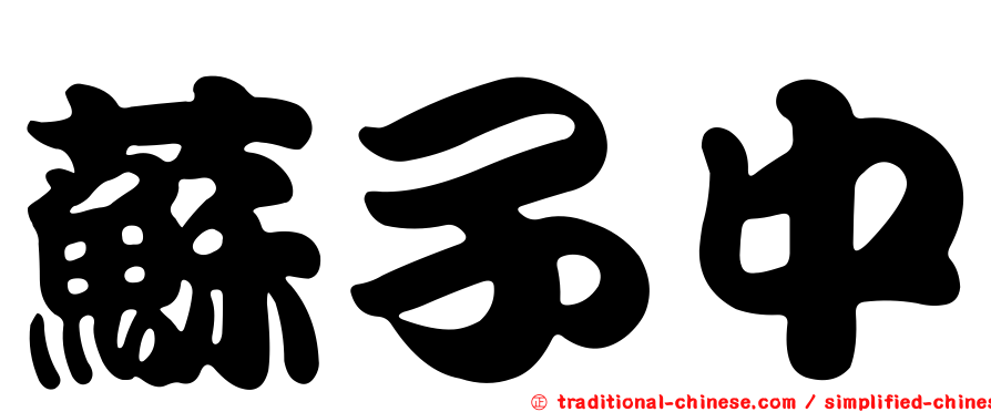 蘇子中