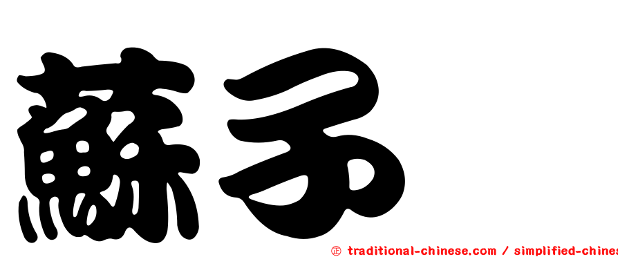 蘇子炘