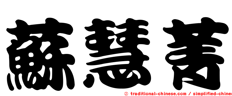 蘇慧菁