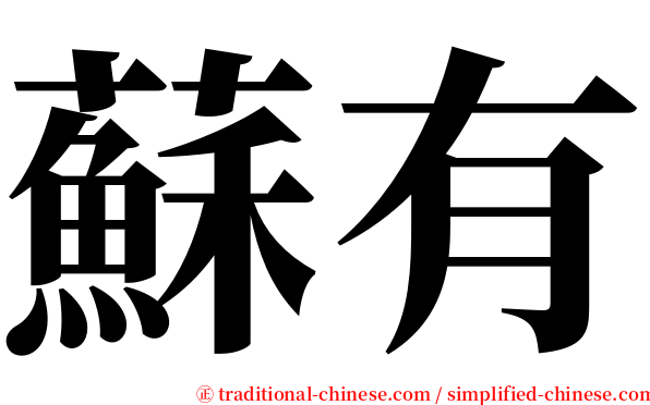 蘇有 serif font