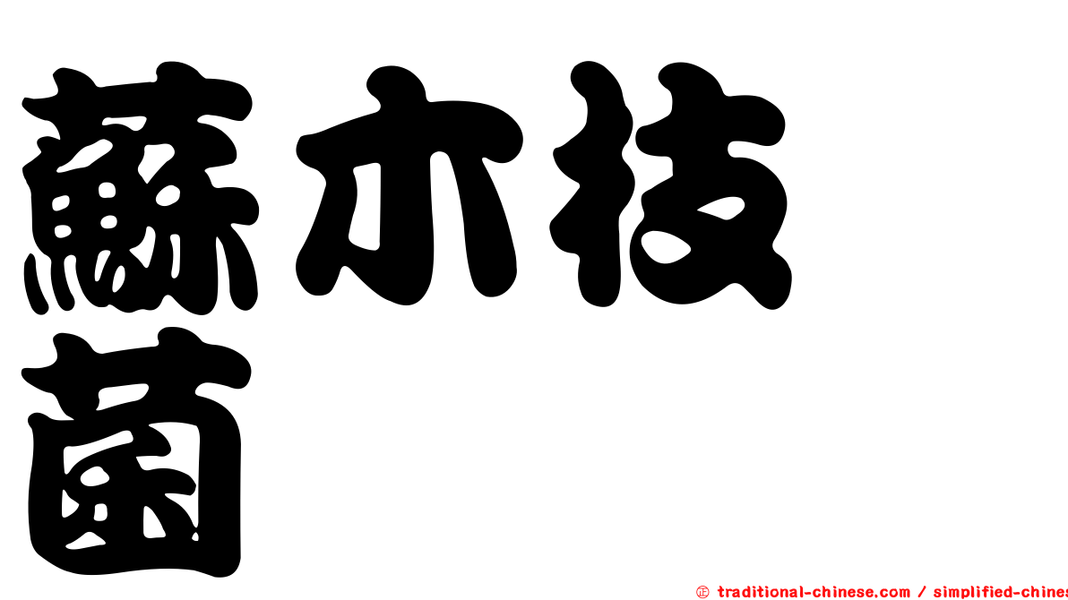 蘇木枝孢菌