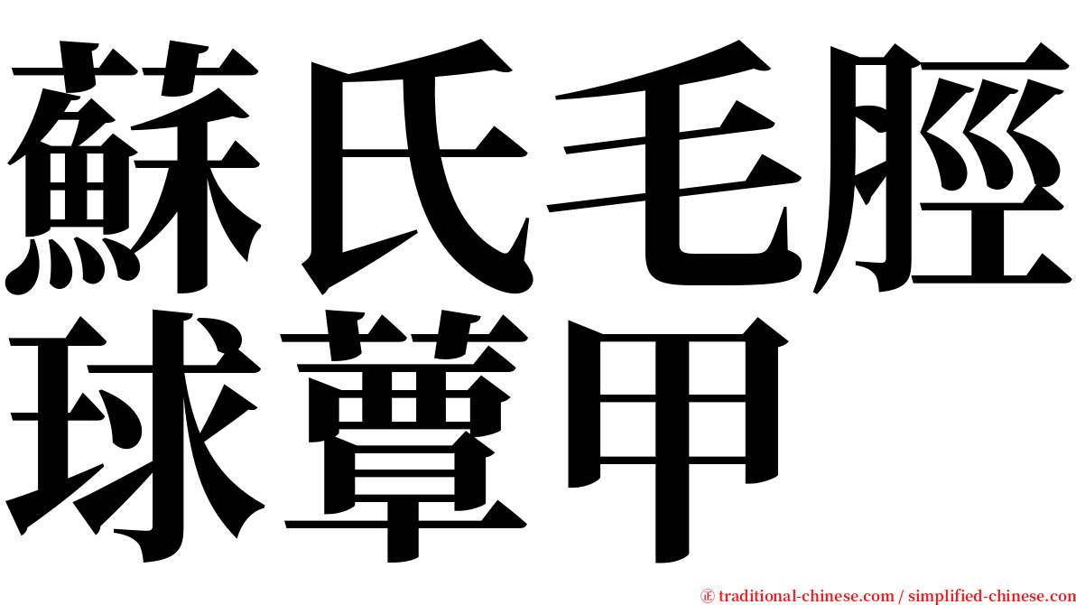 蘇氏毛脛球蕈甲 serif font