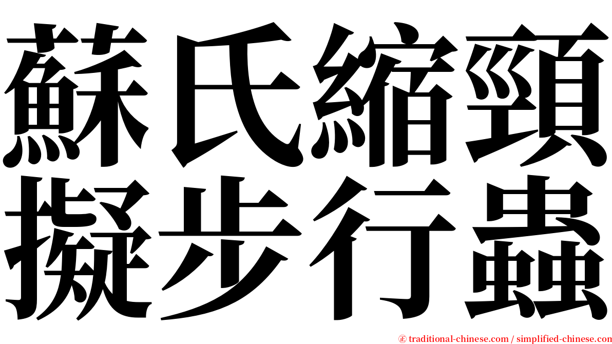 蘇氏縮頸擬步行蟲 serif font