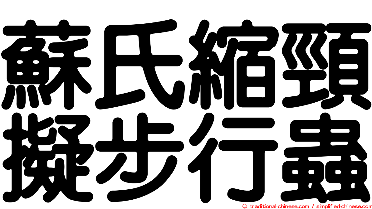 蘇氏縮頸擬步行蟲