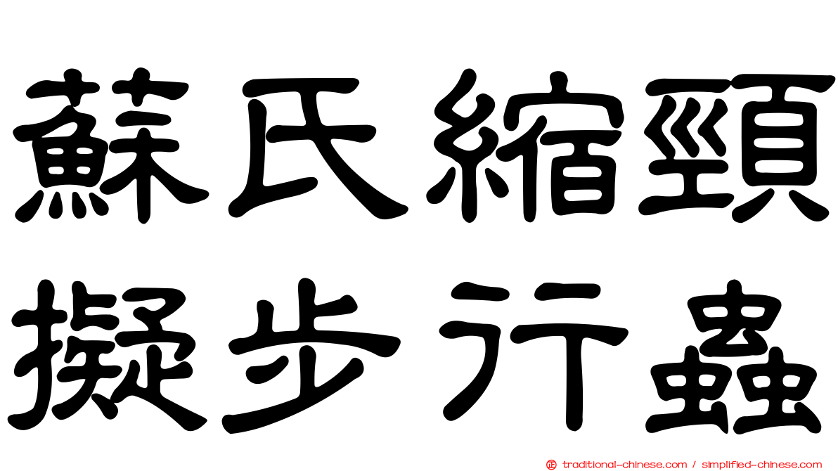 蘇氏縮頸擬步行蟲