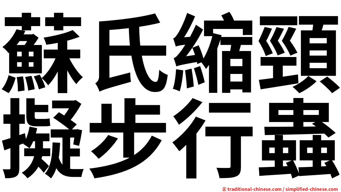 蘇氏縮頸擬步行蟲