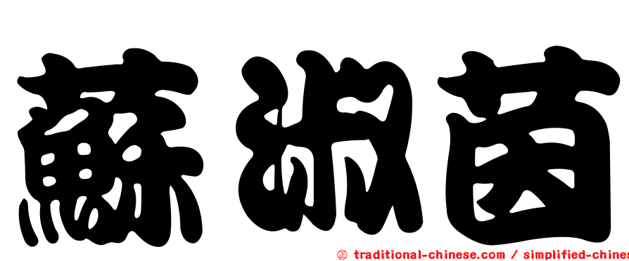 蘇淑茵