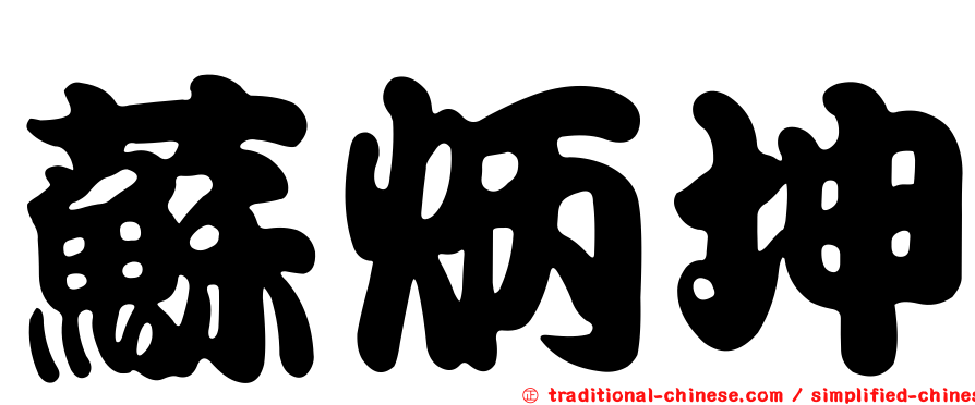 蘇炳坤