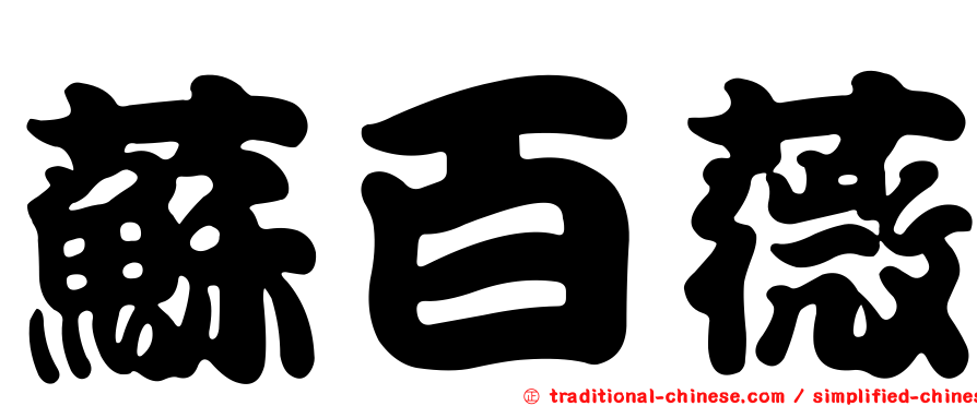 蘇百薇