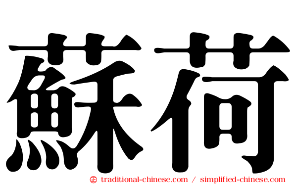 蘇荷