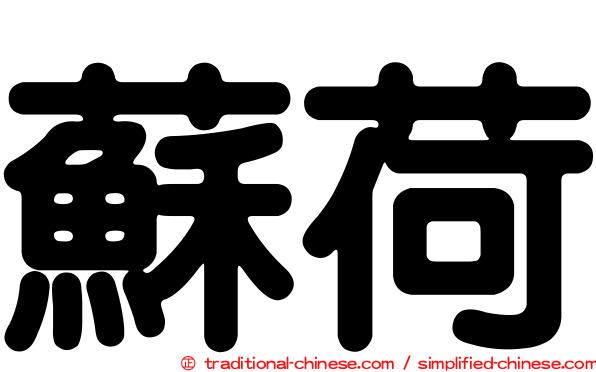 蘇荷
