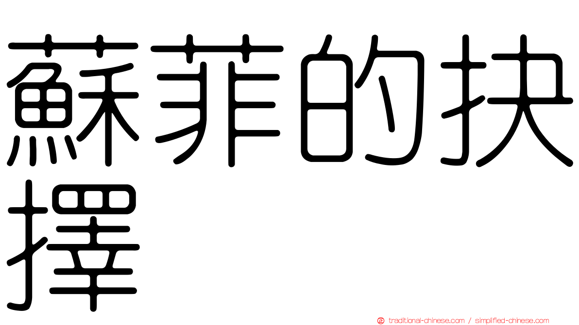 蘇菲的抉擇