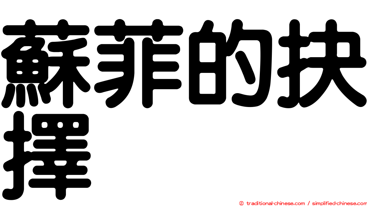 蘇菲的抉擇