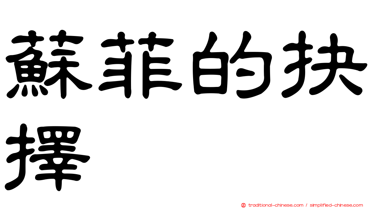 蘇菲的抉擇