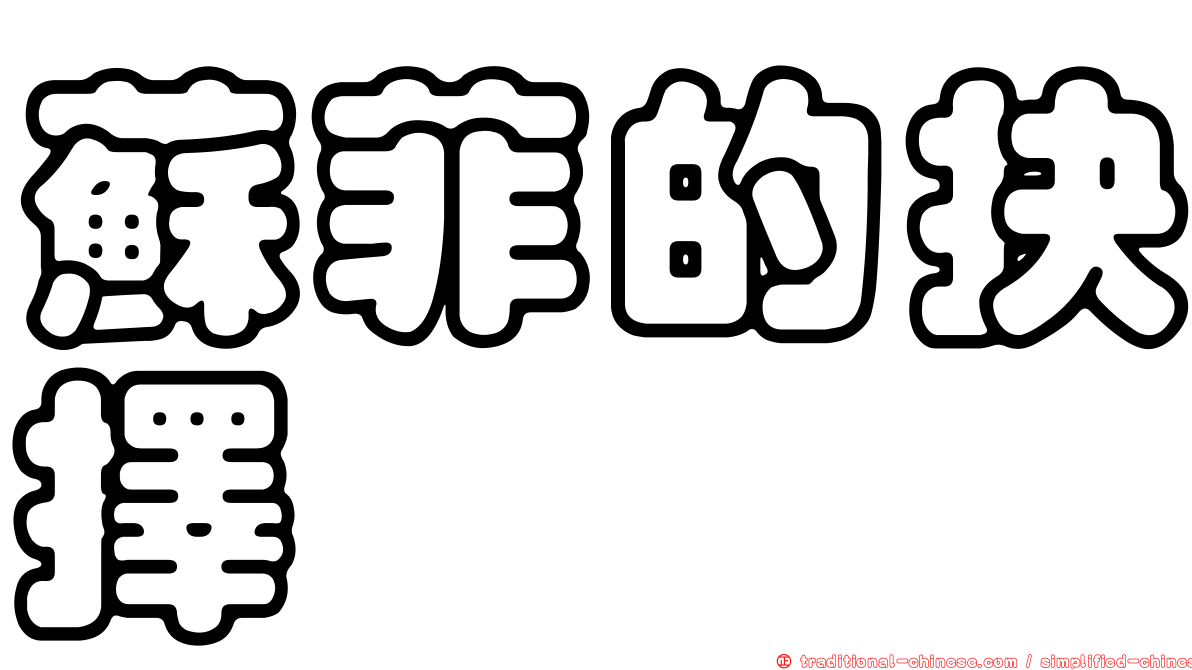 蘇菲的抉擇