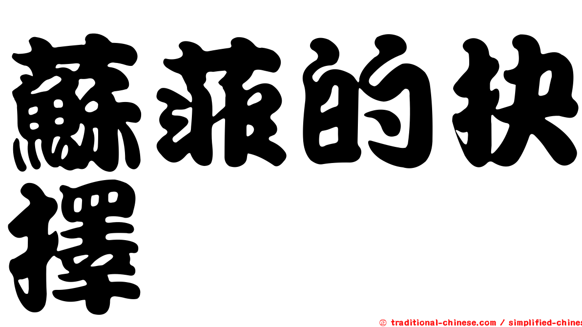 蘇菲的抉擇