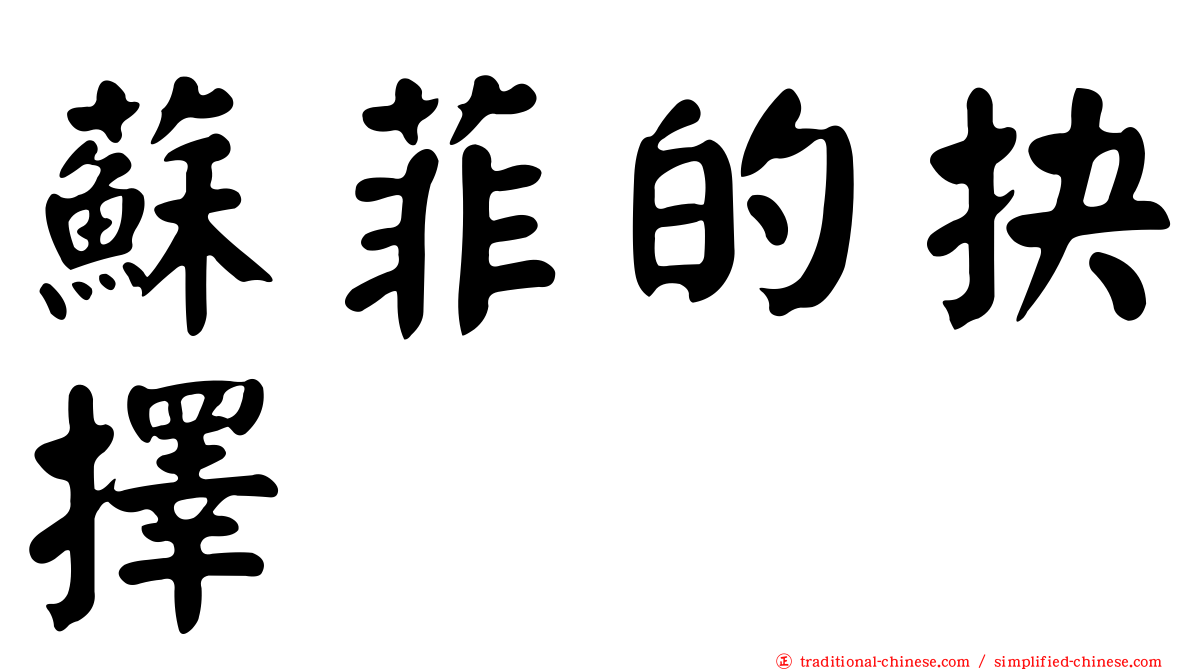 蘇菲的抉擇