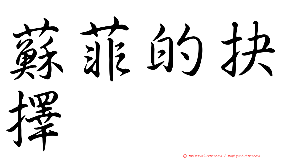 蘇菲的抉擇