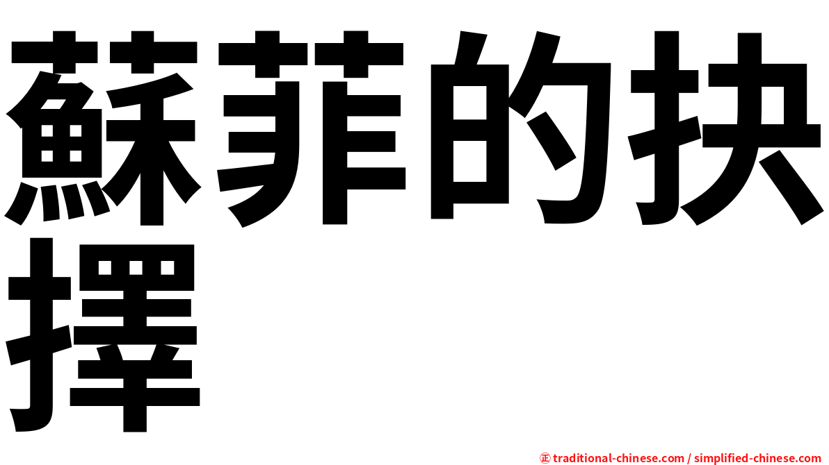 蘇菲的抉擇