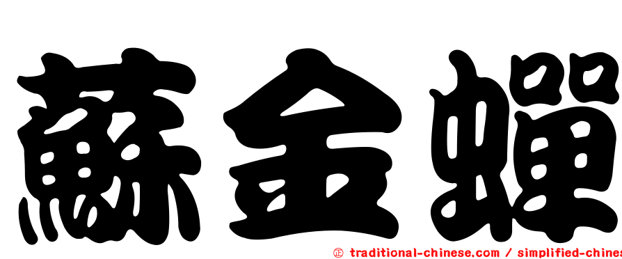 蘇金蟬
