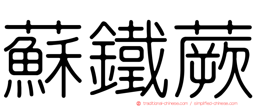 蘇鐵蕨