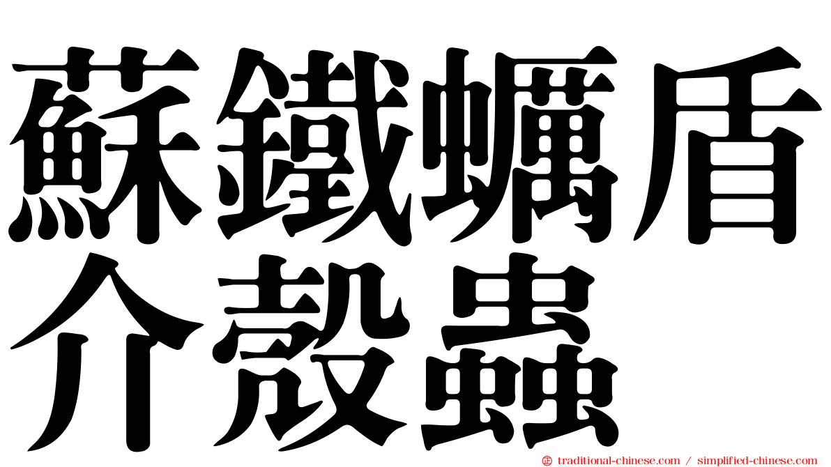 蘇鐵蠣盾介殼蟲