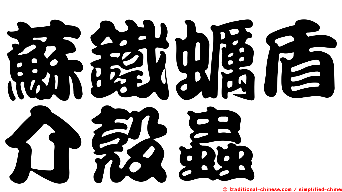 蘇鐵蠣盾介殼蟲