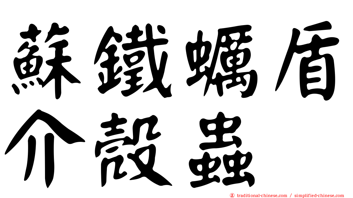 蘇鐵蠣盾介殼蟲