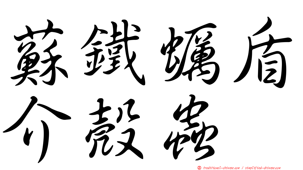 蘇鐵蠣盾介殼蟲