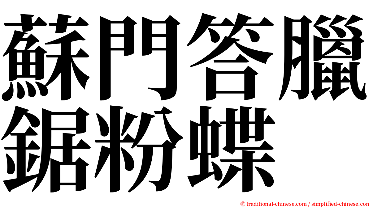 蘇門答臘鋸粉蝶 serif font