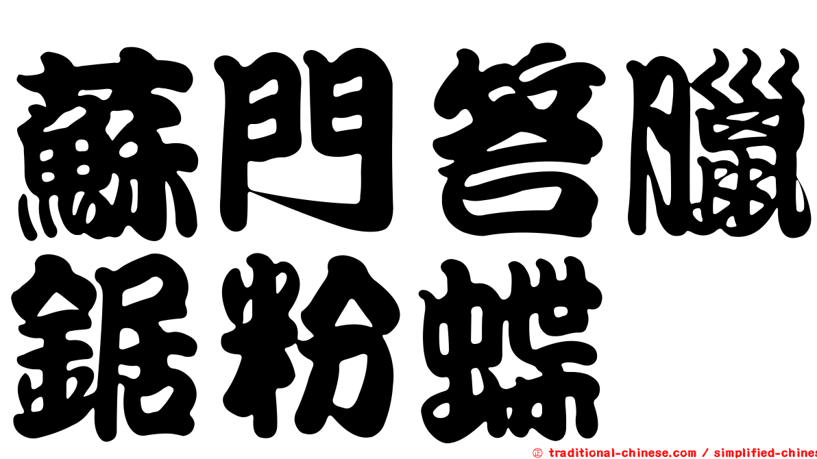 蘇門答臘鋸粉蝶