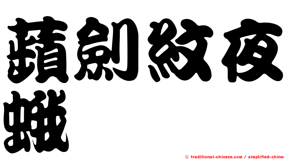 蘋劍紋夜蛾