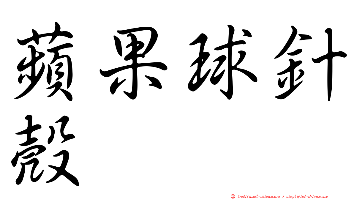 蘋果球針殼