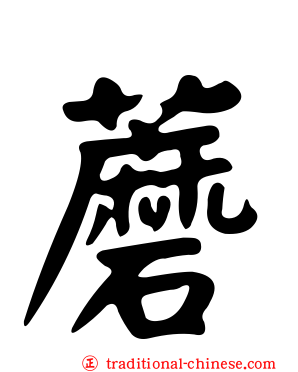 蘑